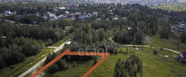 ул Калиновая фото