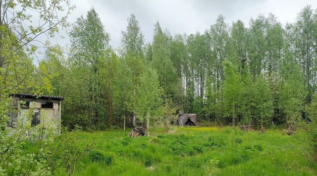 снт Рябинушка Водненский тер., 5, Ухта муниципальный округ фото