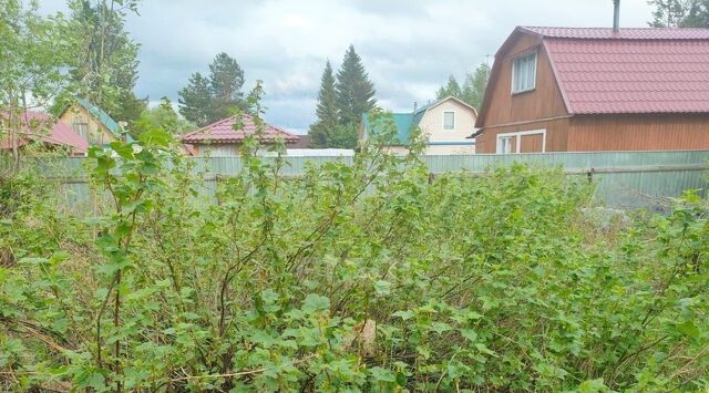 Дальний Аэрофлот СНТ, ул. 1-я Огородная фото