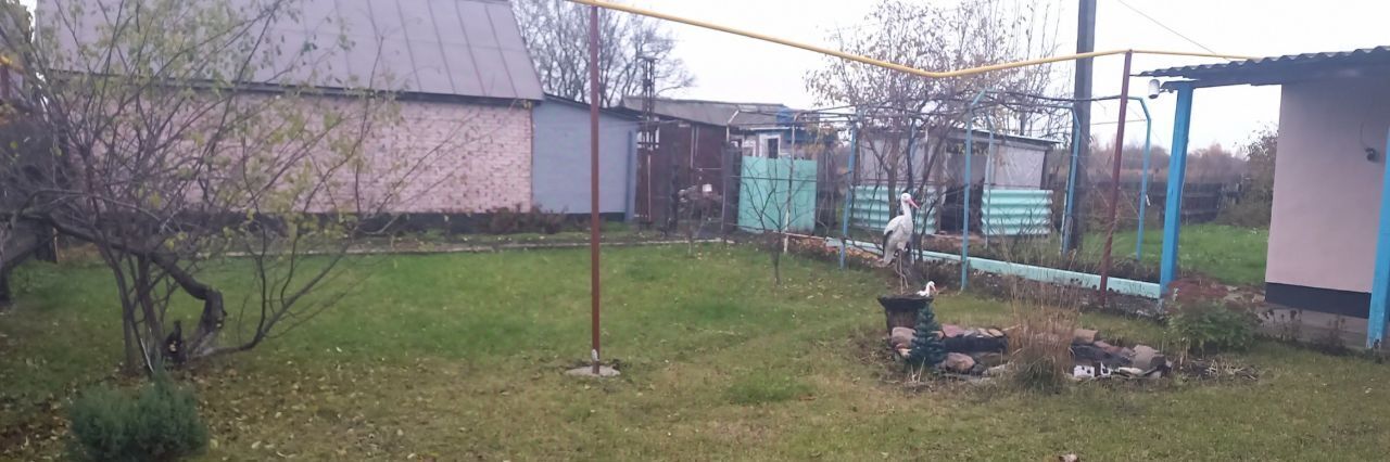 дом г Рассказово ул Плодопитомник 18 фото 3