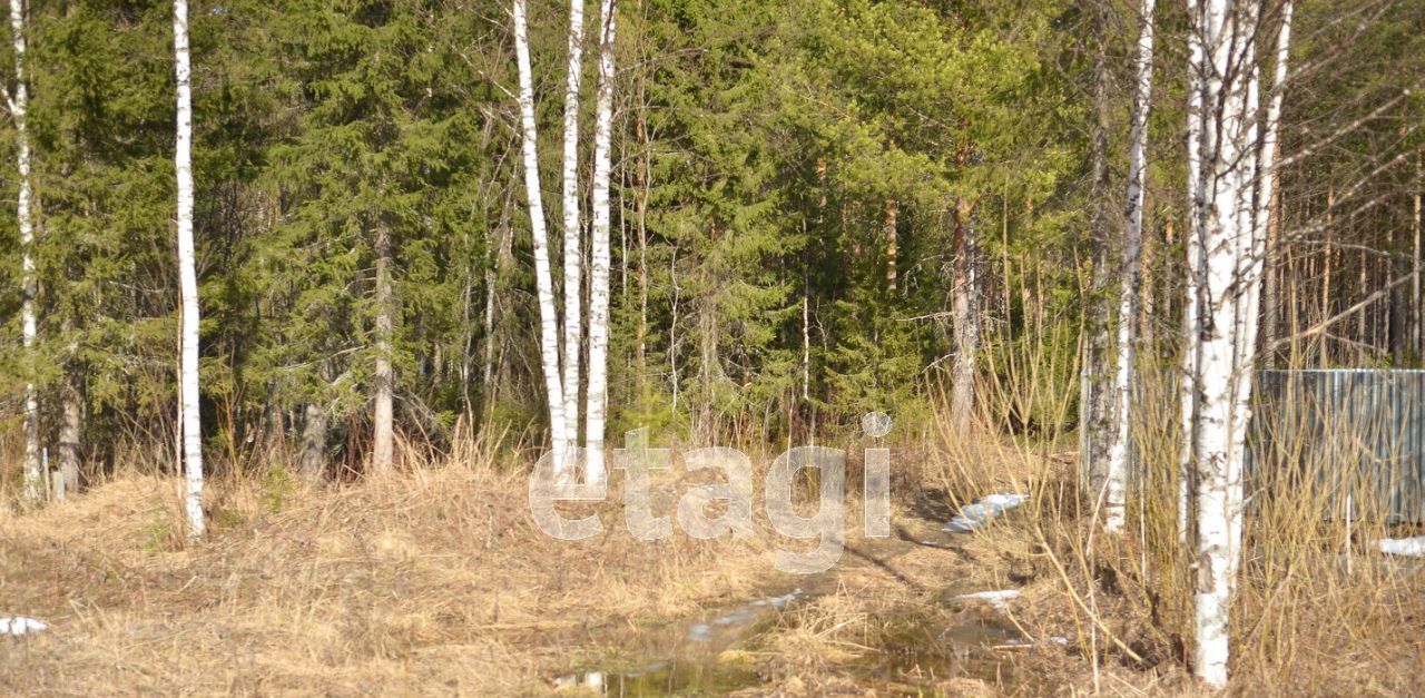 земля г Ухта Дальний ул Портовая Аэрофлот СНТ фото 18