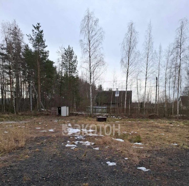 земля г Сосновый Бор снт Приозерное 10 фото 7