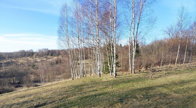 Пушкиногорье городское поселение, д. Симаново фото