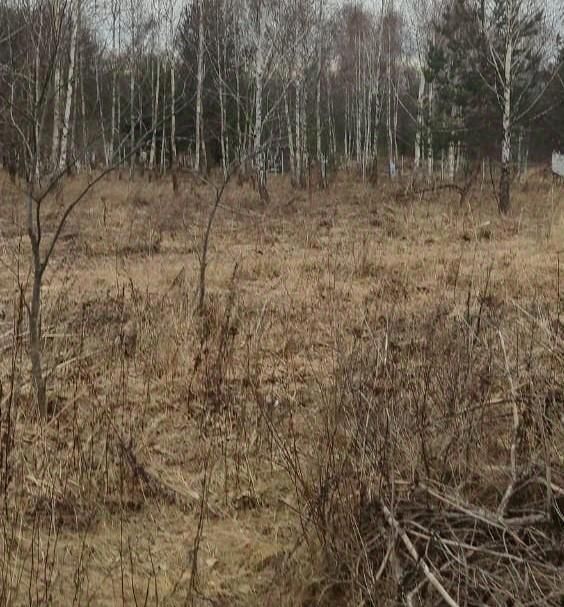 офис г Пущино д мкр Серпухов городской округ фото 1