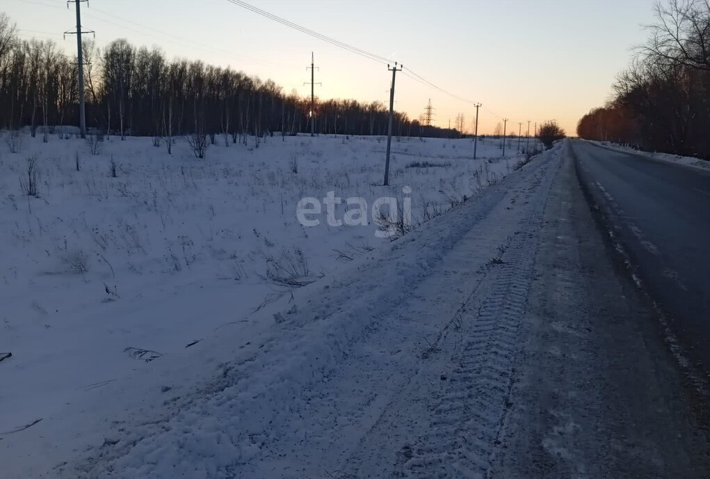 земля г Бийск фото 4