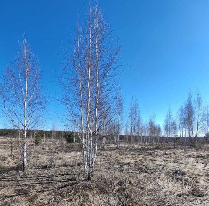 земля г Березовский п Шиловский фото 3