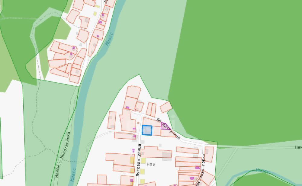 земля г Миасс п Наилы ул Луговая Миасский городской округ фото 5