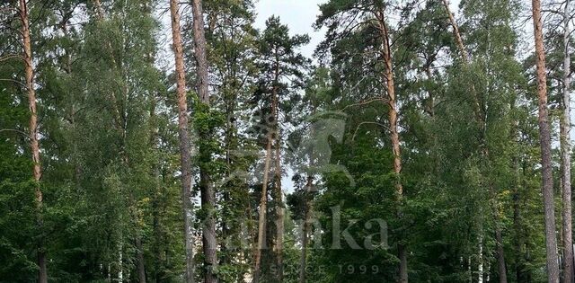 Крылатское фото