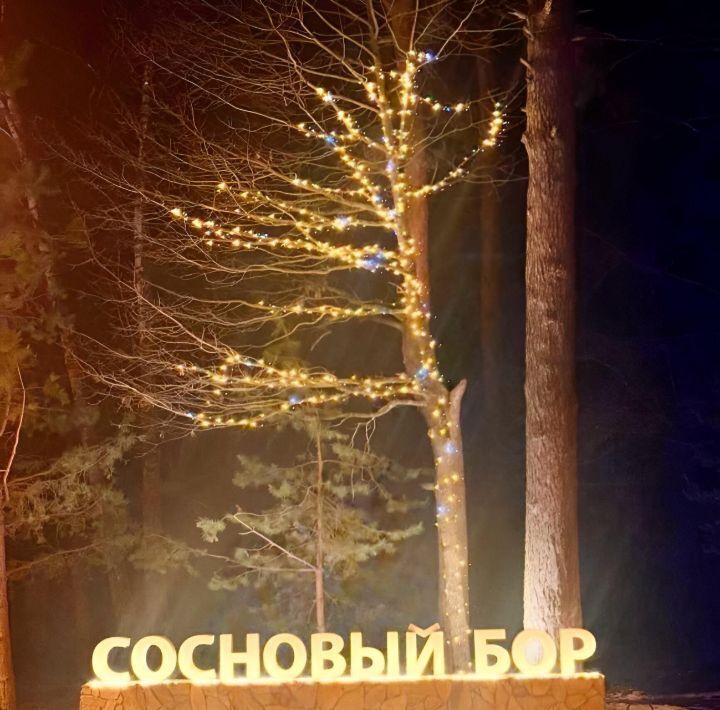 земля г Подольск п Сосновый Бор 158, Москва, Подольск фото 21