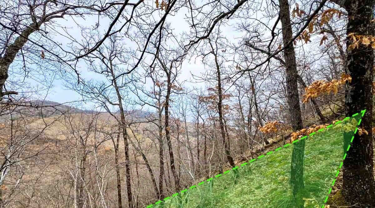 земля г Алушта с Малый Маяк фото 1