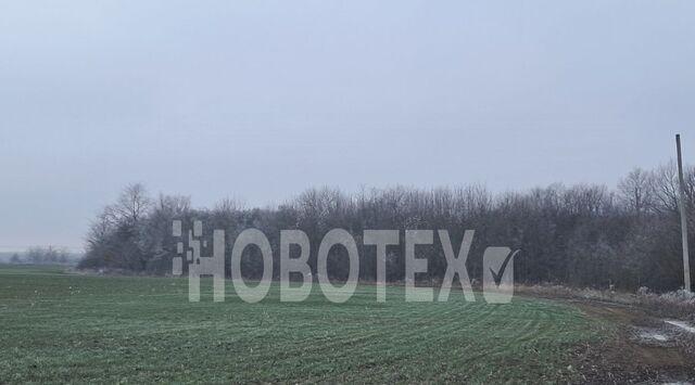 ст-ца Суздальская фото