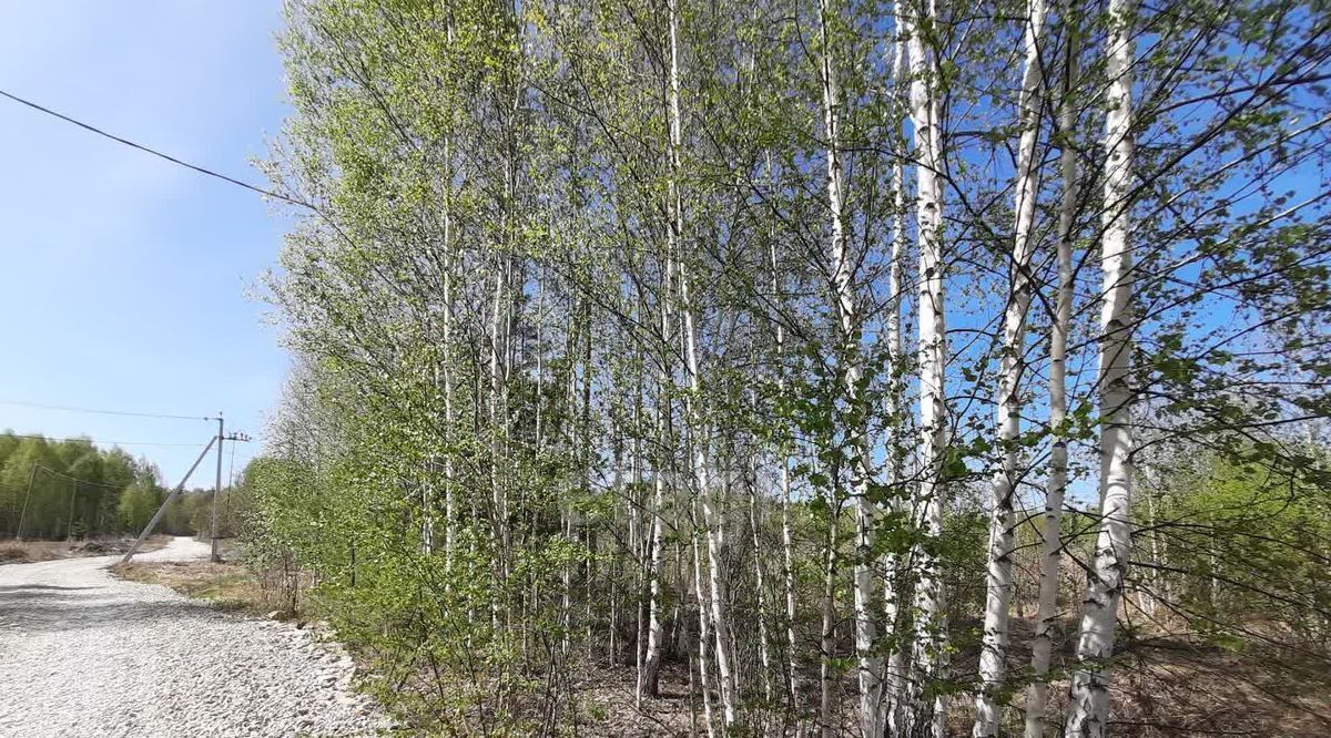 земля г Ревда с Кунгурка ул Надежды фото 1