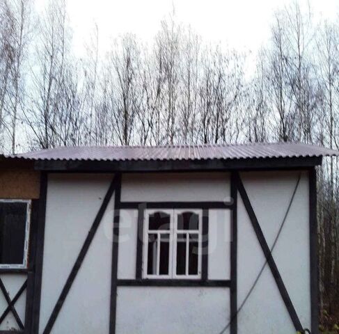 с Борщевка Тула городской округ фото