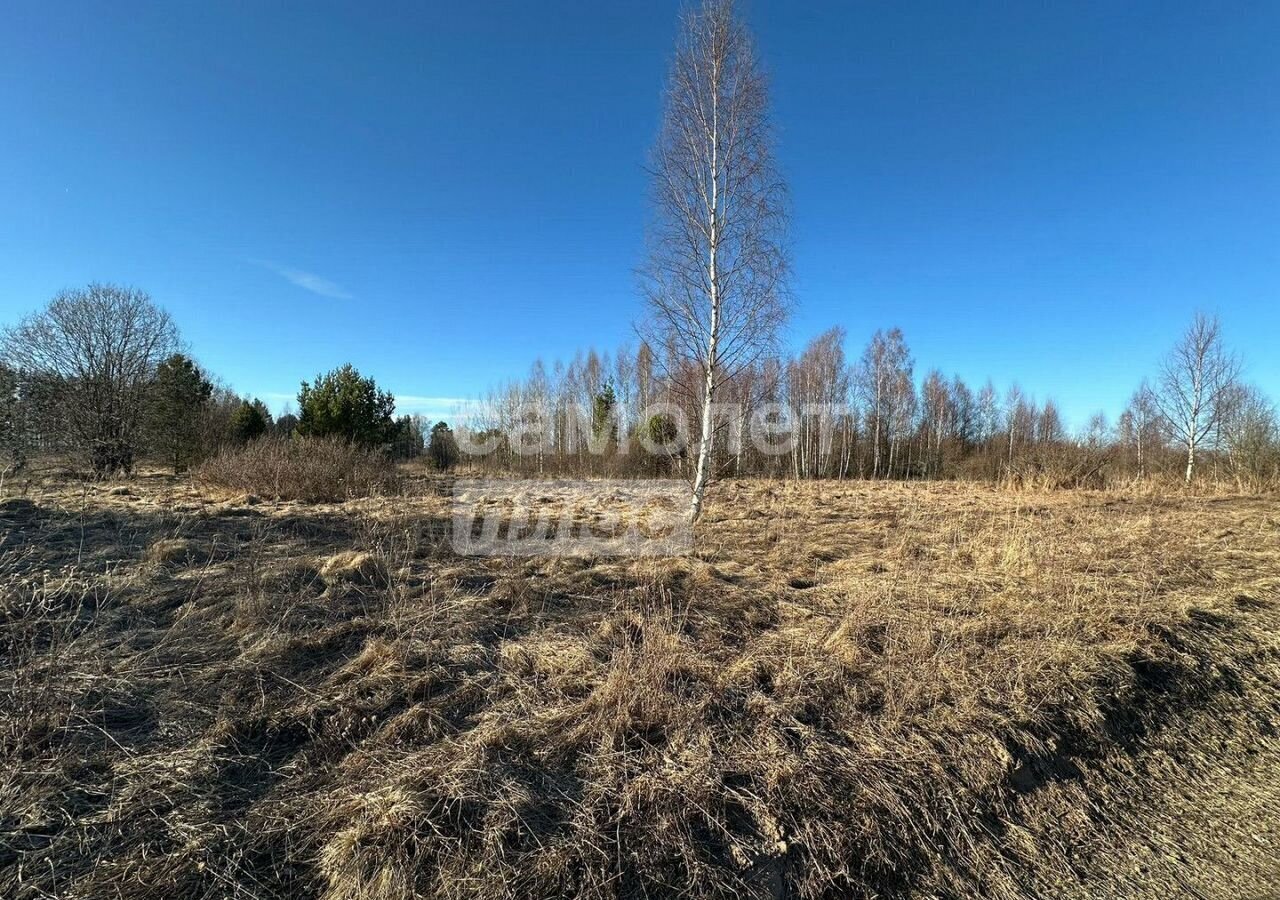 земля р-н Угличский д Грибаново Углич фото 5