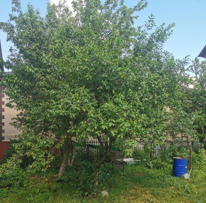дом р-н Бирский г Бирск ул Юбилейная фото 5