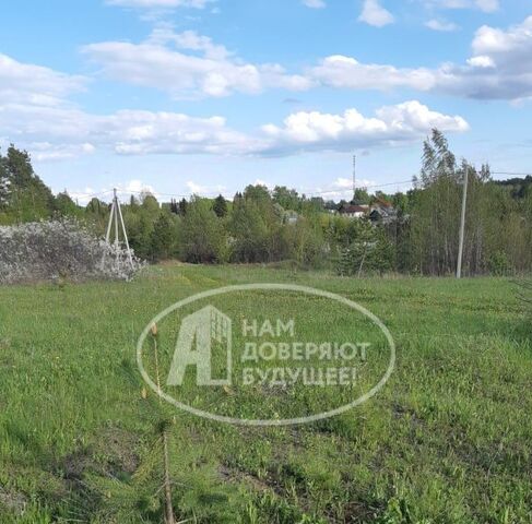 земля днп Дачный массив Камский хутор фото земля днп Дачный массив Камский хутор фото