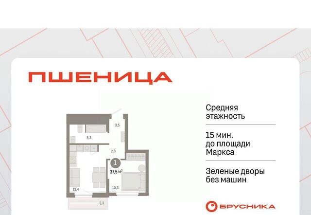 дом 10/3 Площадь Маркса фото