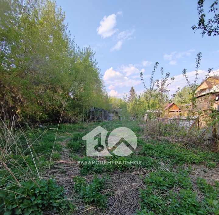 земля г Новосибирск снт Рассвет Площадь Маркса фото 4