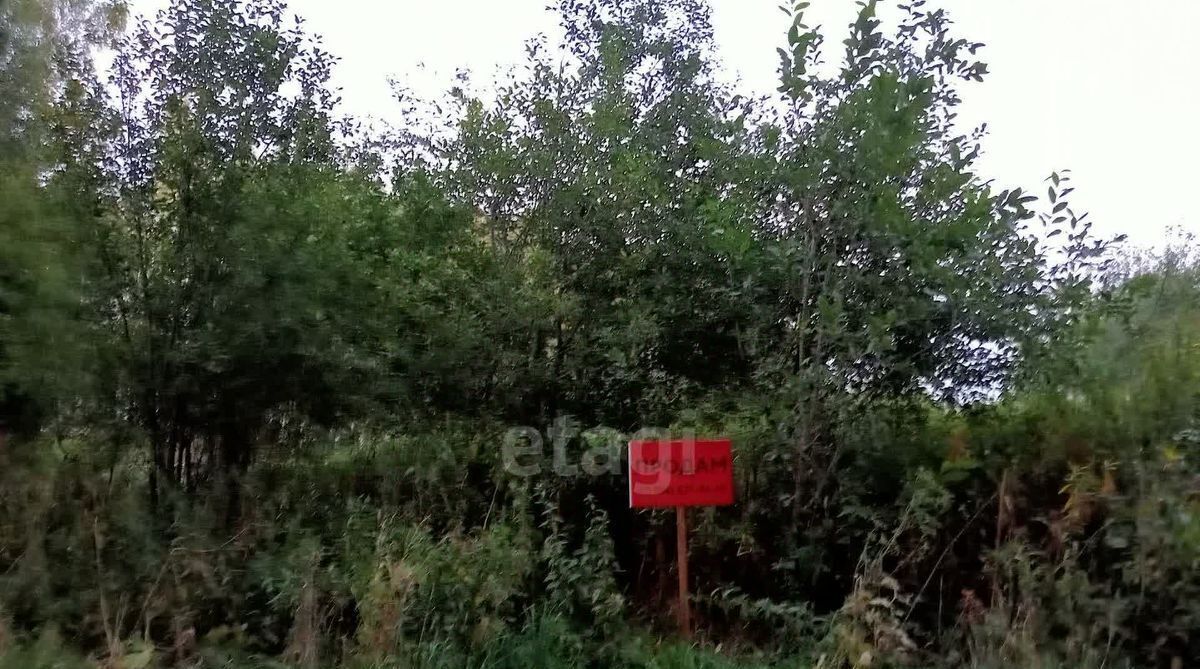 земля г Екатеринбург п Шабровский ул Молодежная муниципальное образование фото 4