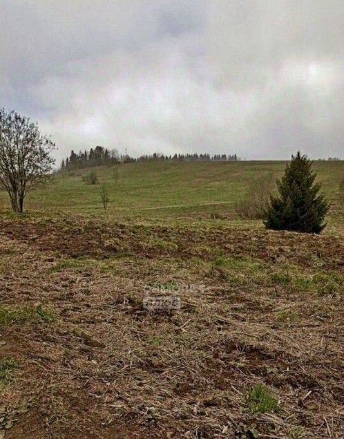земля г Краснокамск д Большая ул Садовая фото 7