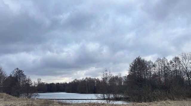 снт Ягодное Богородский муниципальный округ, В сектор фото