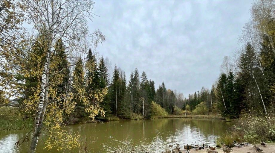 дом г Чайковский снт N 31 60, Березники фото 18