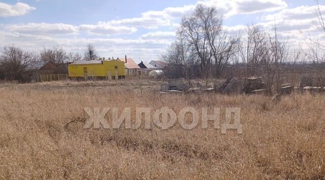 ул Зеленая фото