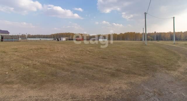 коттеджный посёлок Журавлиный остров фото