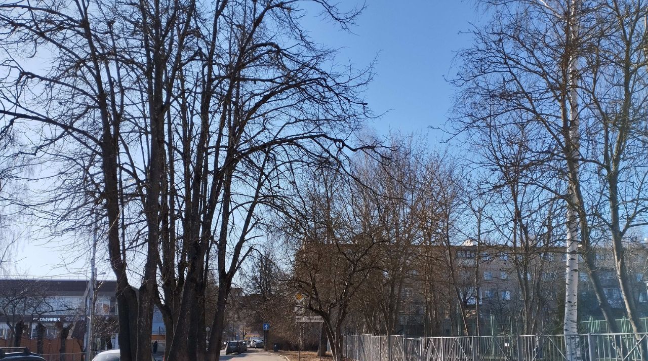 комната городской округ Одинцовский г Звенигород кв-л Маяковского 11 фото 2
