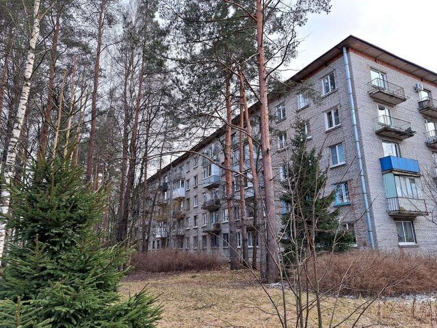 п Песочный ул Ленинградская 70/3 Ленинградская область фото