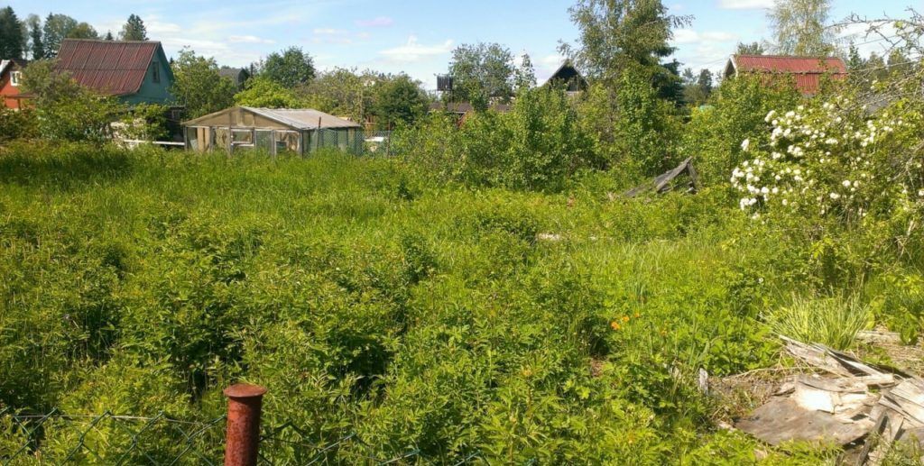 земля г Санкт-Петербург ул Челябинская 57 Дорога жизни, 1 км фото 1