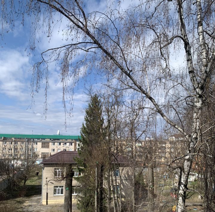 квартира г Калуга р-н Ленинский ул Кирова 43 фото 3
