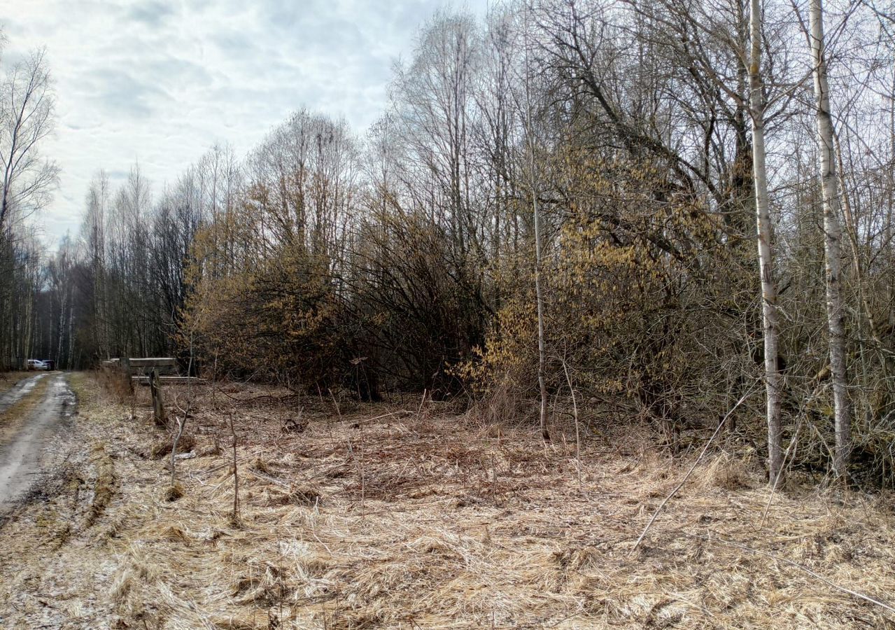земля р-н Тутаевский г Тутаев Чёбаковское сельское поселение фото 3