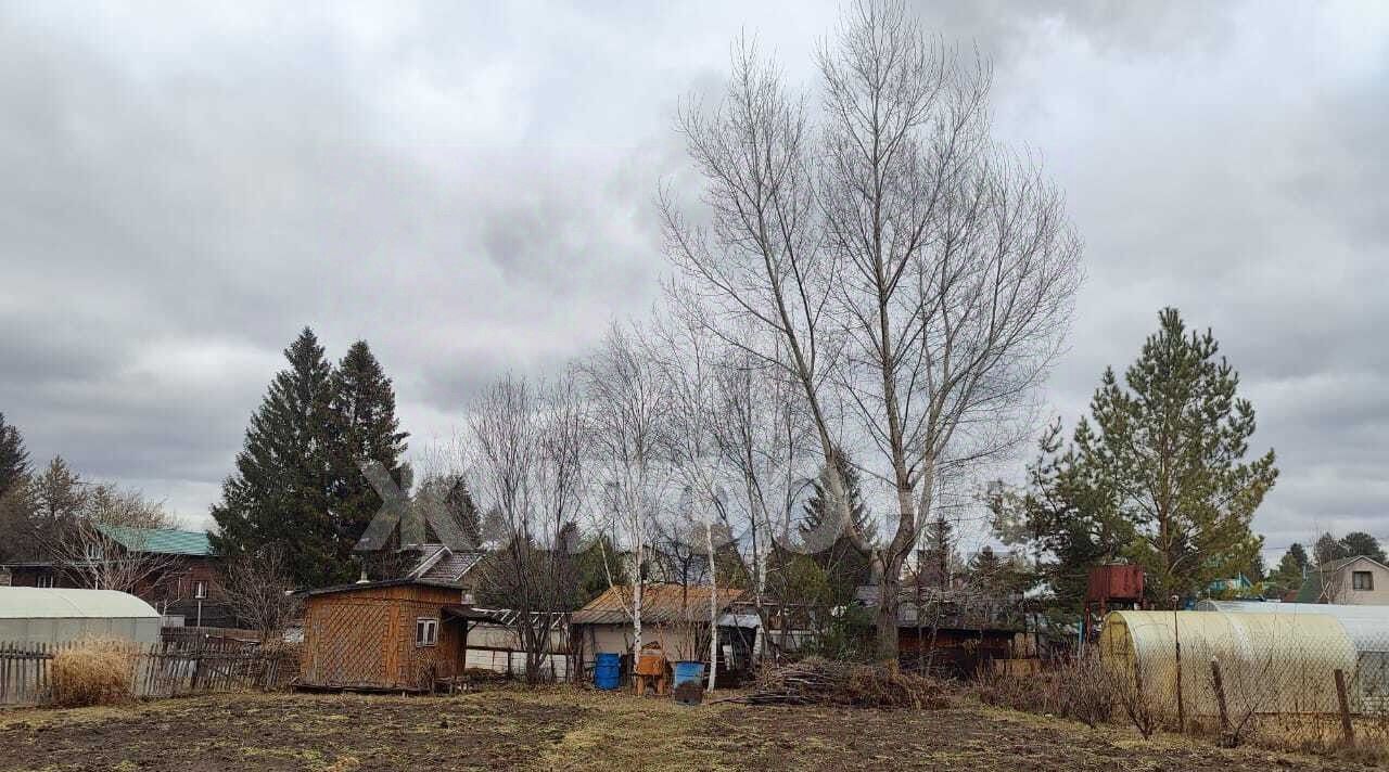 дом р-н Курьинский с Колывань Колыванский сельсовет фото 1