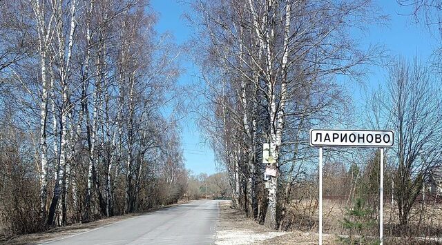 д Ларионово Пекшинское муниципальное образование фото