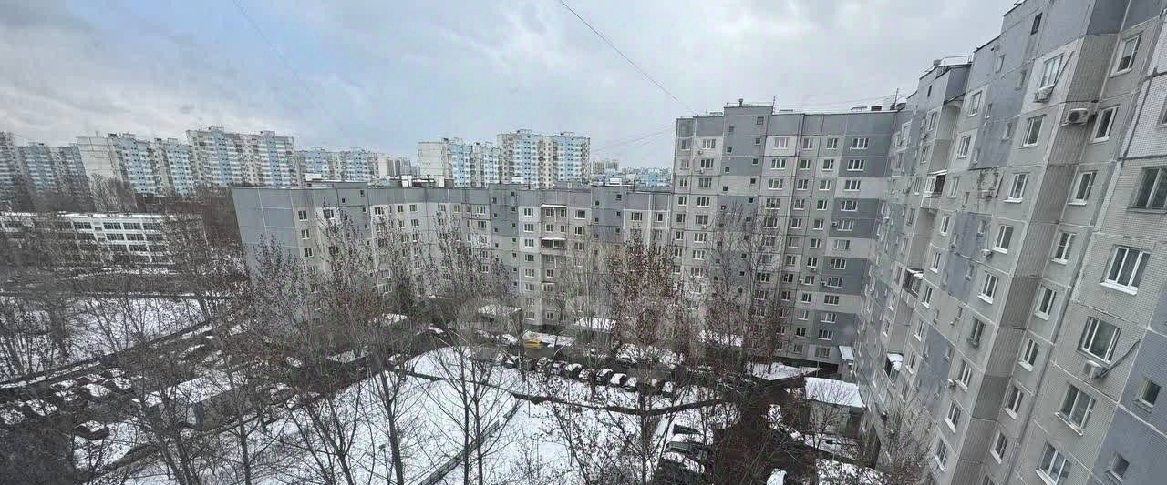 квартира г Москва метро Братиславская проезд Луговой 7 фото 12