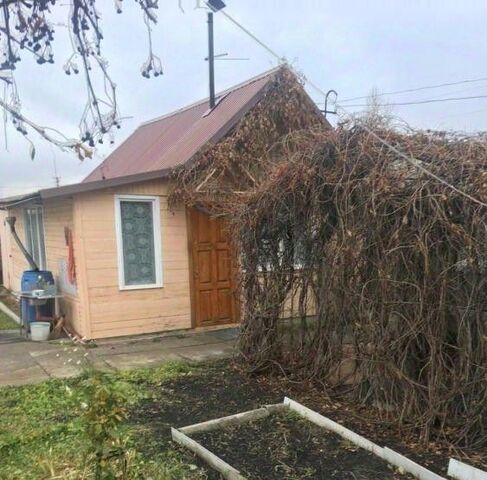снт Орловское поле фото