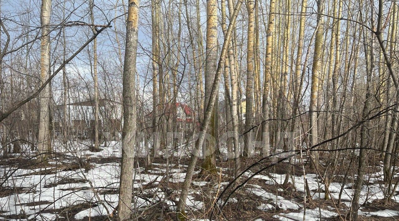 земля г Новосибирск Золотая Нива ул Спринтерская фото 1