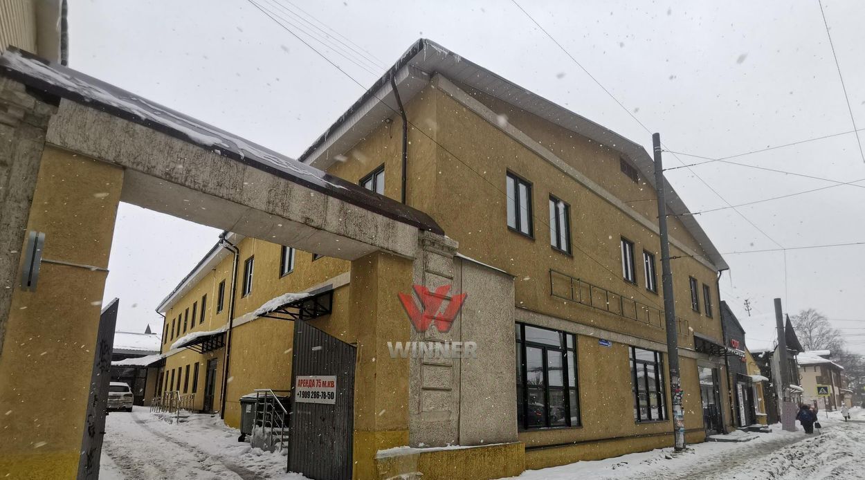 торговое помещение г Нижний Новгород Московская ул Литвинова 20 фото 4