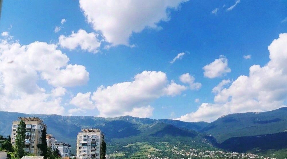 квартира г Ялта ул Ореховая 23а фото 15