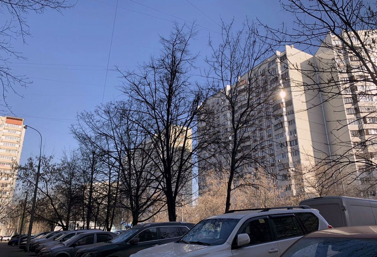 квартира г Москва метро Кузьминки пр-кт Волгоградский 111к/2 фото 5