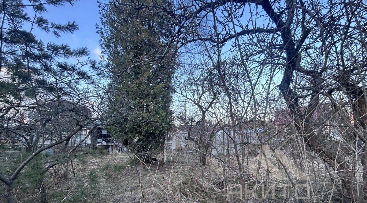 земля г Павловск снт Звездочка метро Купчино 38 фото 1