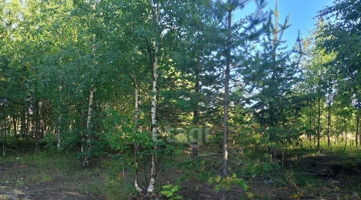 земля г Сосногорск ул Суворова муниципальное образование фото 3