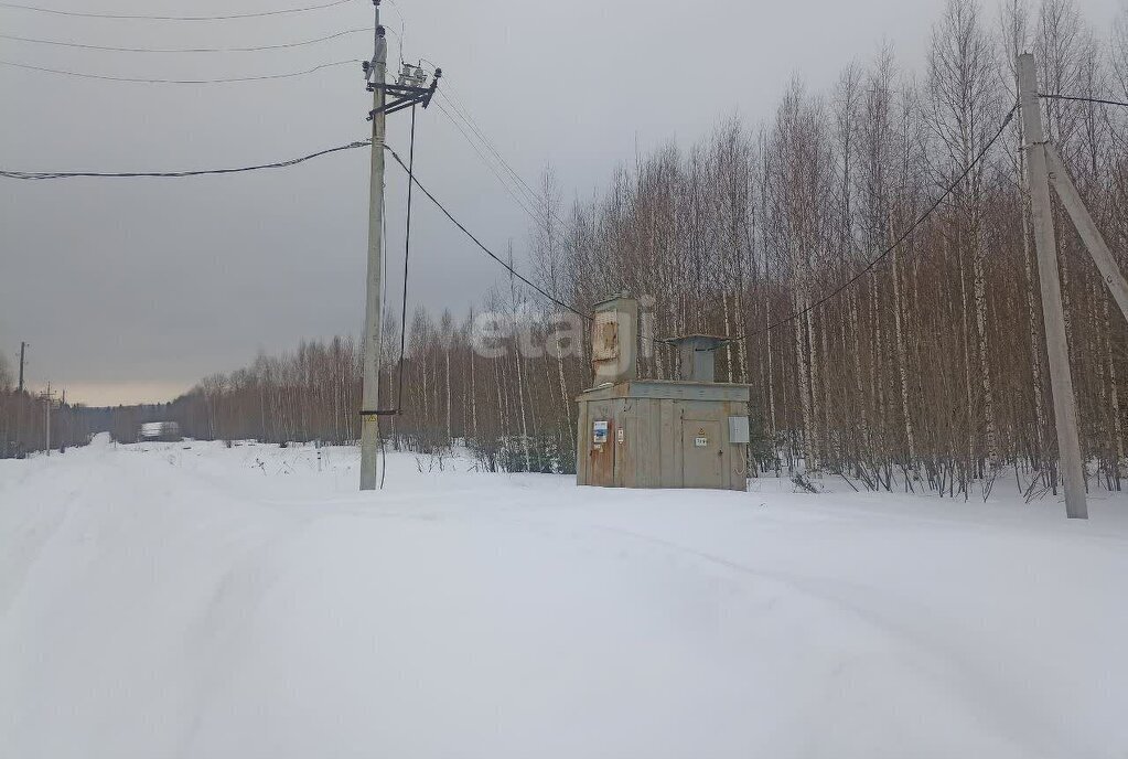 земля г Добрянка территория Урочище Дальнее Угольное фото 2