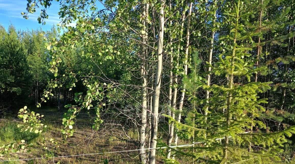 земля г Сосногорск ул Суворова муниципальное образование фото 6