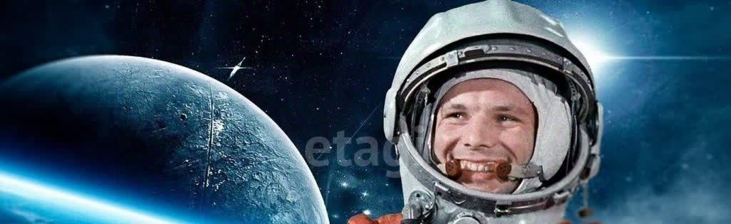 квартира г Новосибирск Берёзовая роща ул Николая Островского 195/3 фото 40
