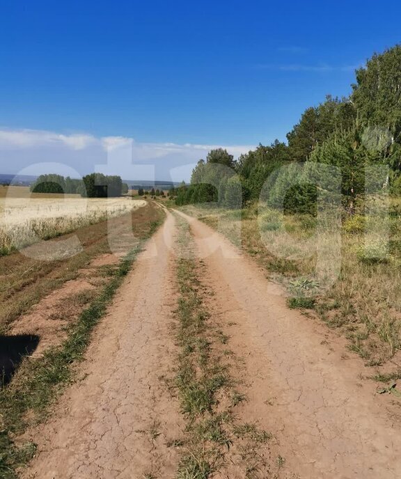 земля г Кунгур фото 6