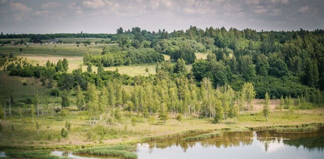 Новосельская волость фото