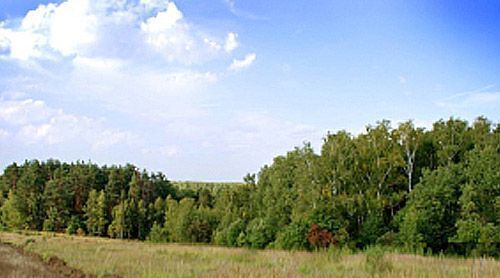 земля Малаховское с/пос, Петрович на Даче мкр фото