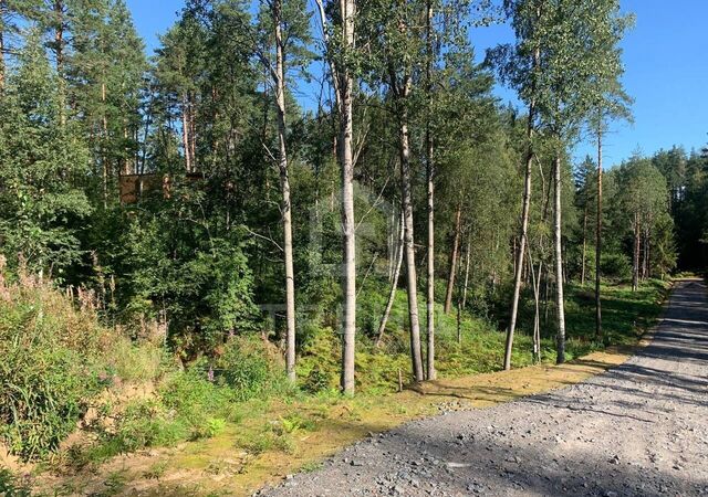 д Васкелово Приозерское шоссе, 27 км, Куйвозовское сельское поселение, коттеджный пос. Лемболовская твердыня, 21 фото